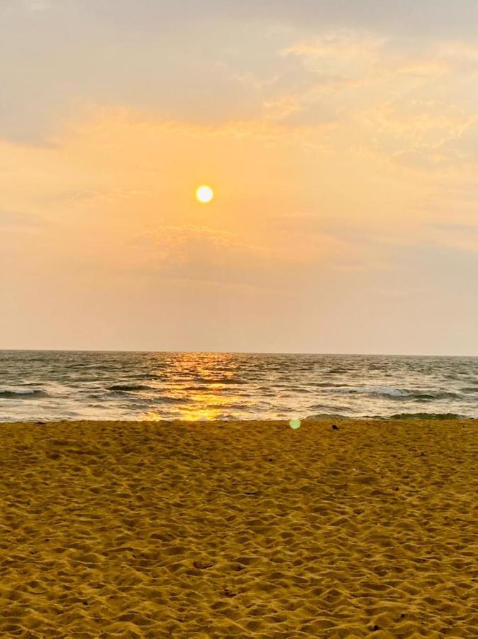 Bed and Breakfast The We2 "Wildwood Elegance Escape" Induruwa Esterno foto